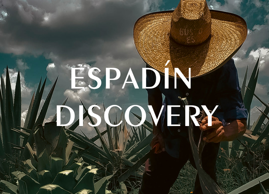 Horizonte Sustentable - Experiencias Espadin Discovery img