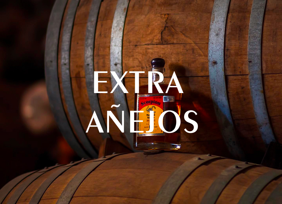 Horizonte Sustentable - Experiencias Extra anejos img