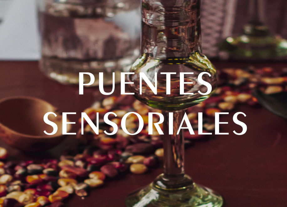 Horizonte Sustentable - Experiencias Puentes Sensoriales img