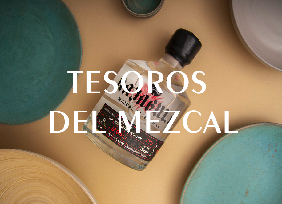 Horizonte Sustentable - Experiencias Tesoros del mezal img